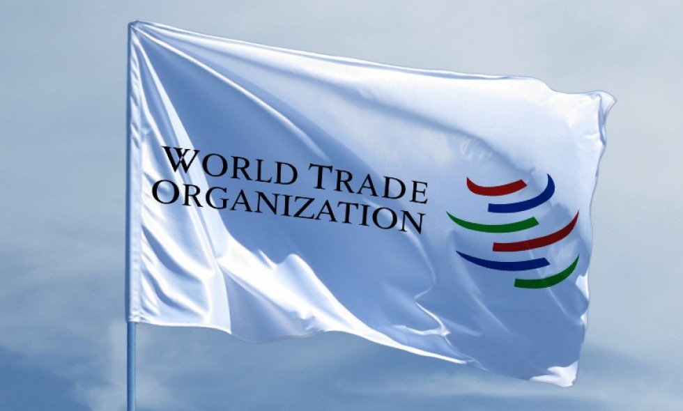 Почему Россия не получила существенных выгод от присоединения к ВТО